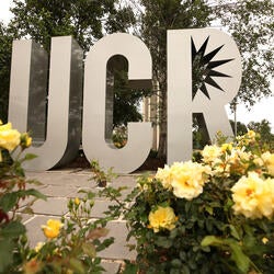 roses and UCR