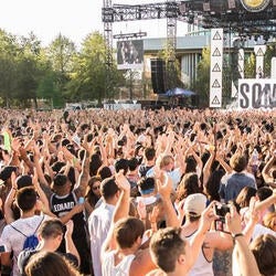 Concert crowd