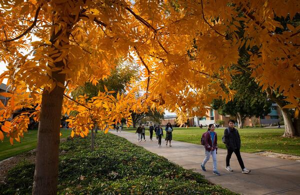 Fall leaves over walking path